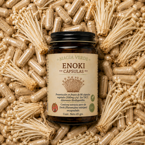 Enoki - Cápsulas