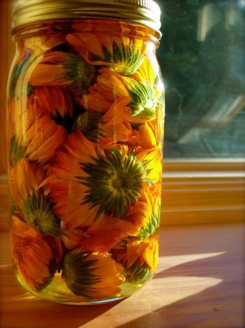 Oleato de Calendula
