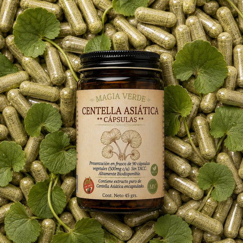 Centella Asiática - Cápsulas