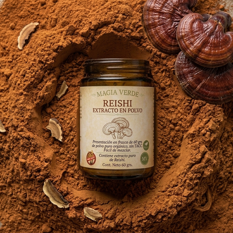 Reishi - Extracto en polvo