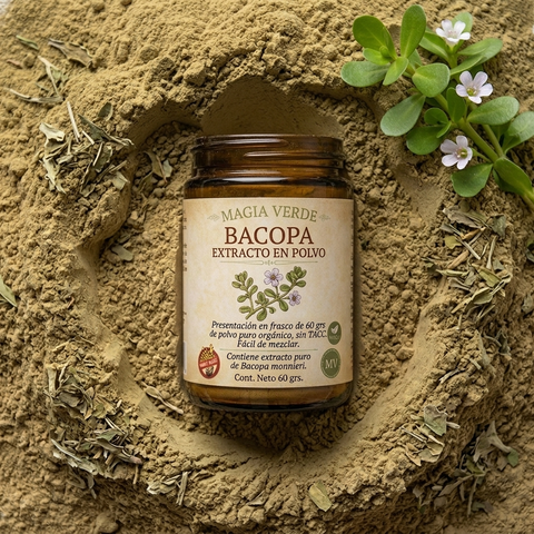 Bacopa -  Extracto en polvo