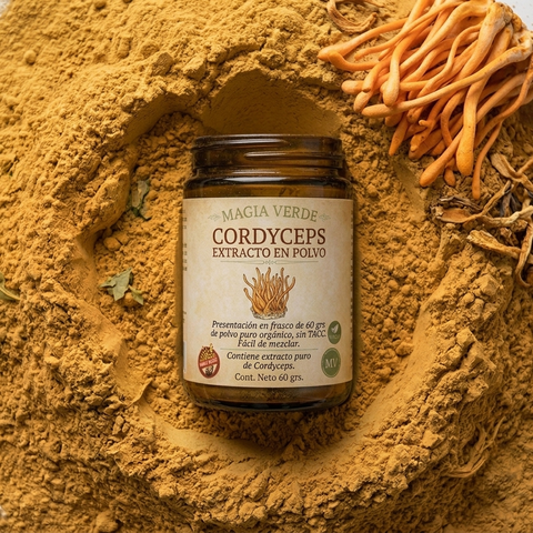 Cordyceps - Extracto en polvo