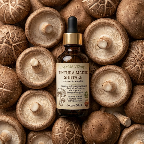 Shiitake ~ Tintura Madre