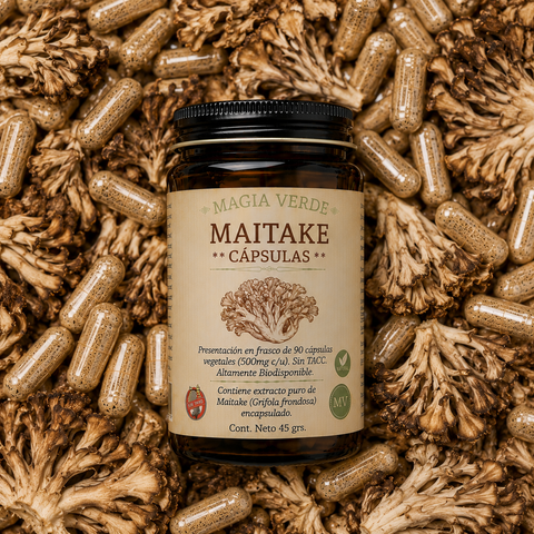 Maitake - Cápsulas