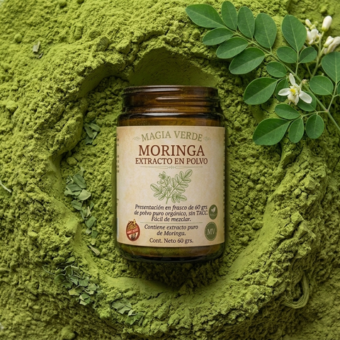 Moringa - Extracto en polvo