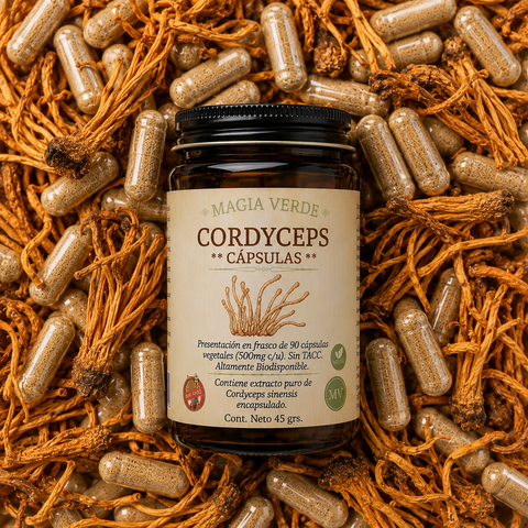 Cordyceps - Cápsulas