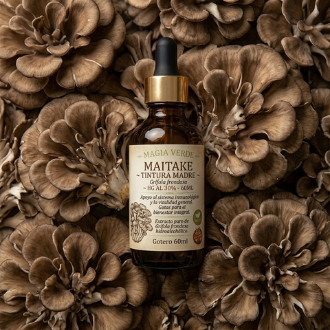 Maitake - Tintura Madre