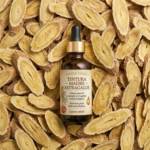 Astragalus - Tintura Madre