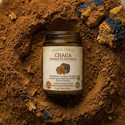 Chaga - Extracto en polvo