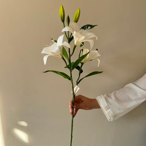 VARA DE FLOR NATURAL - PREMIUM -