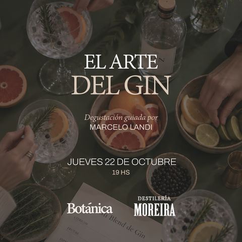 TALLER DE GIN - TRES GINS, TRES TERRUÑOS
