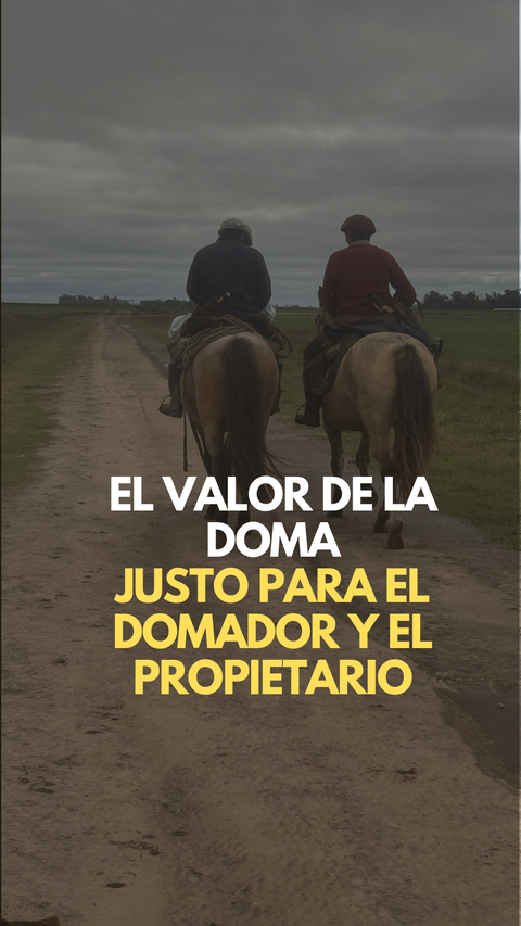 Evaluación de doma de potros que se entregan 