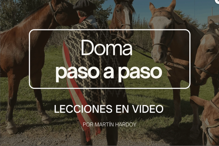 Curso de Doma Racional - lecciones en video