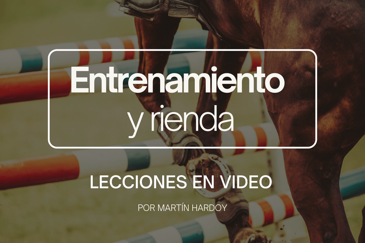 RIENDA Y EQUIPOS: Lecciones en video
