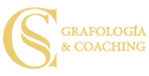 Scconsultoria