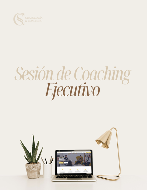 Sesión de Coaching Ejecutivo