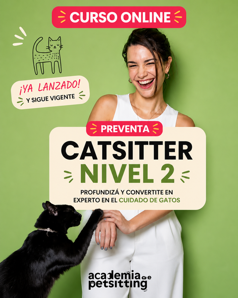 Curso Catsitter Profesional Nivel 2