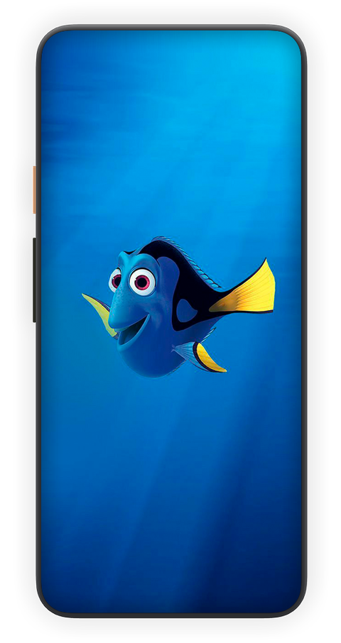 DORY