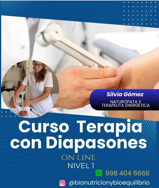 CURSO NIVEL 1 DE TERAPIA CON DIAPASONE ON LINE