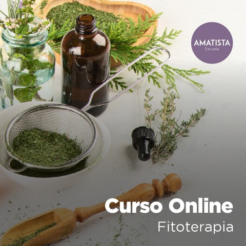 CURSO ONLINE FITOTERAPIA HOLISTICA