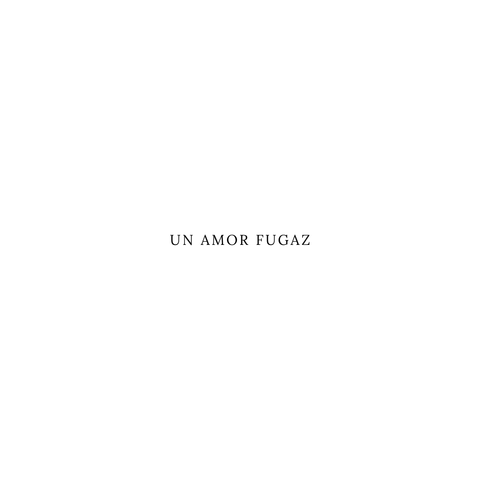 Libro - Un amor fugaz