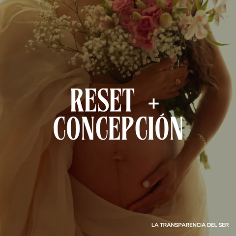 RESET UTERINO + FERTILIDAD CONSCIENTE