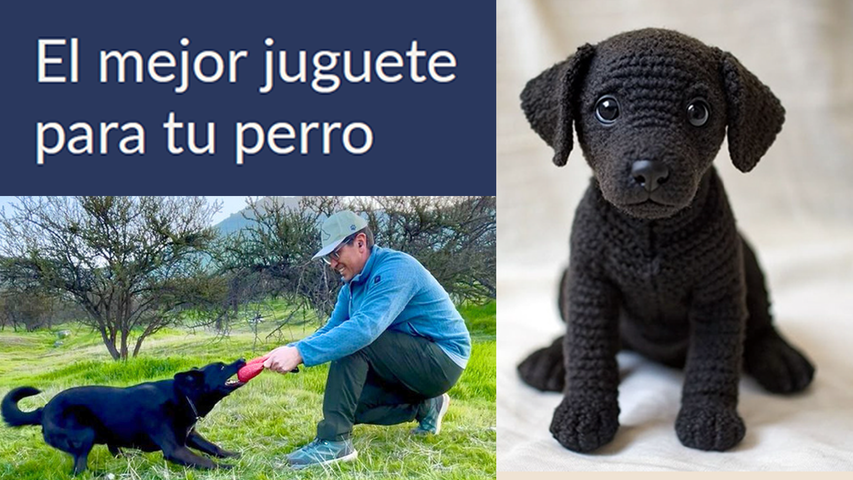Ebook / El mejor juguete para tu perro: Cómo elegir juegos que desarrollen su mente y equilibrio emocional