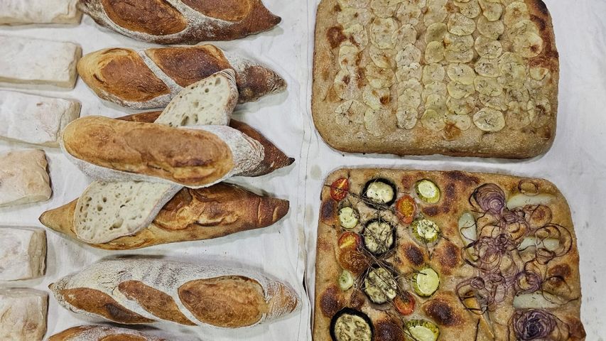 Panes para Sandwich