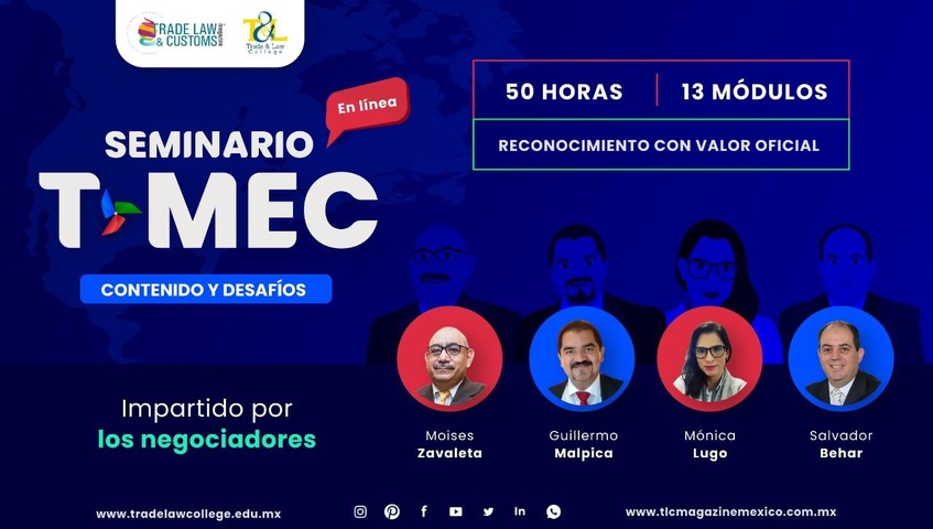 Seminario en línea