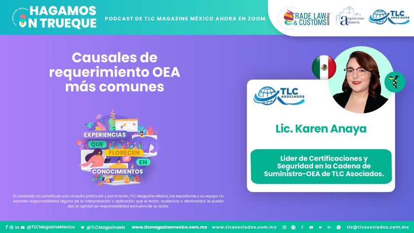 Bee Conocimiento - Causales de requerimiento OEA más comunes por la Lic. Karen Anaya