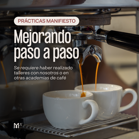 PRÁCTICAS MANIFIESTO: Mejorando paso a paso