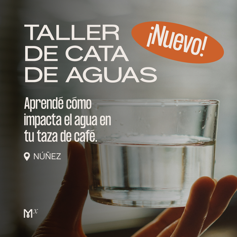 Taller de Cata de aguas