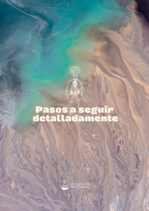 Plan detallado de 3 meses