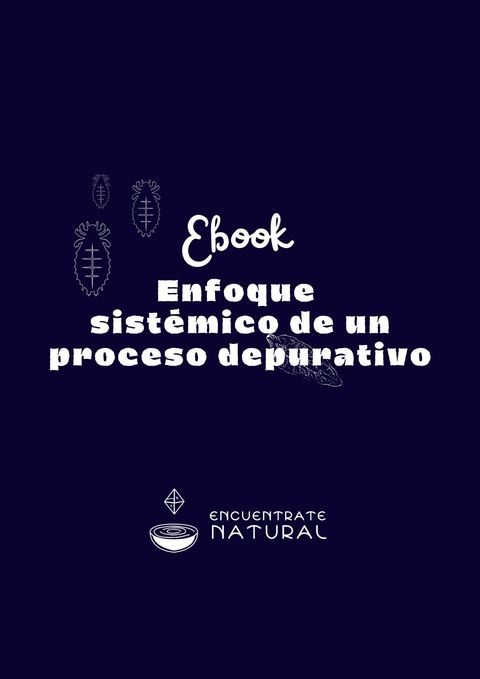 Ebook enfoque sistémico