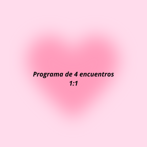 Programa de 4 encuentros 1:1