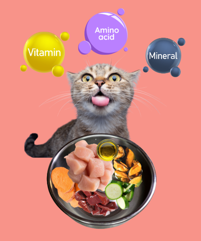 Nutrientes esenciales en perros y gatos: qué son, por qué importan y su impacto en dietas caseras