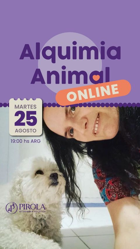 Alquimia Animal -Taller online