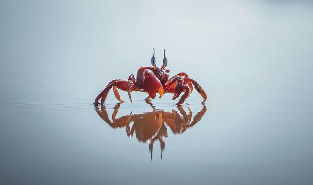 La capacidad de adaptarse a los cambios