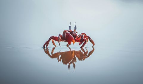La capacidad de adaptarse a los cambios