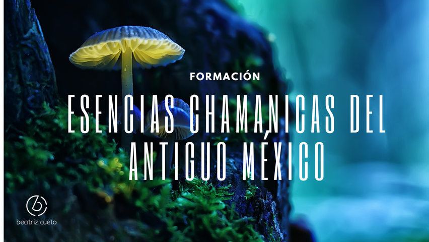 El Rescate del Alma: Formación Profesional en Esencias Chamánicas de México
