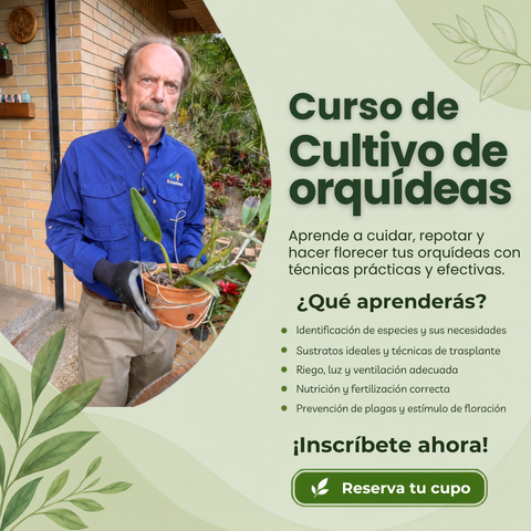 Curso de Cultivo de Orquídeas