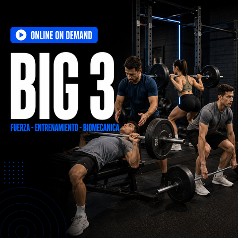 BIG 3 (Fuerza - Entrenamiento - Biomecánica)