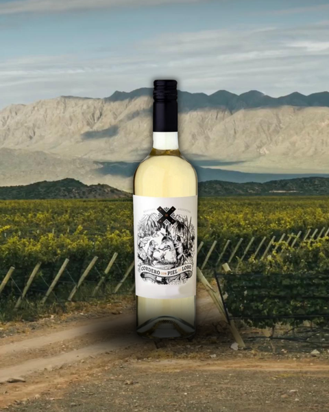 Cordero Con Piel de Lobo Blanco Dulce