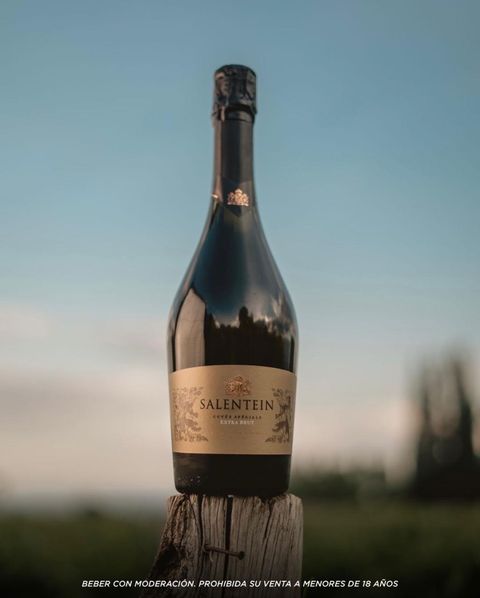 Espumante Salentein Extra Brut
