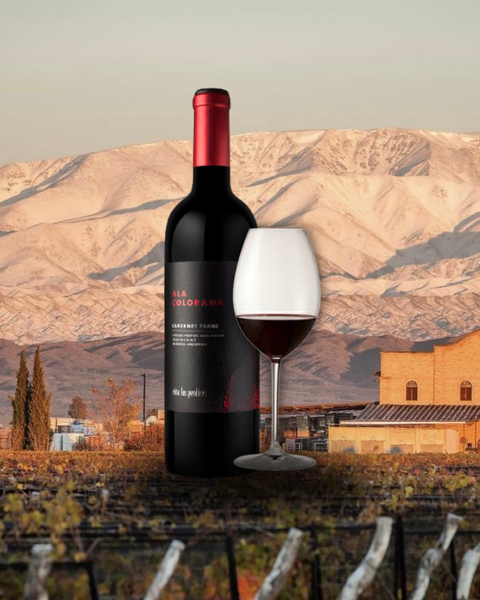 Ala Colorada Cabernet Franc