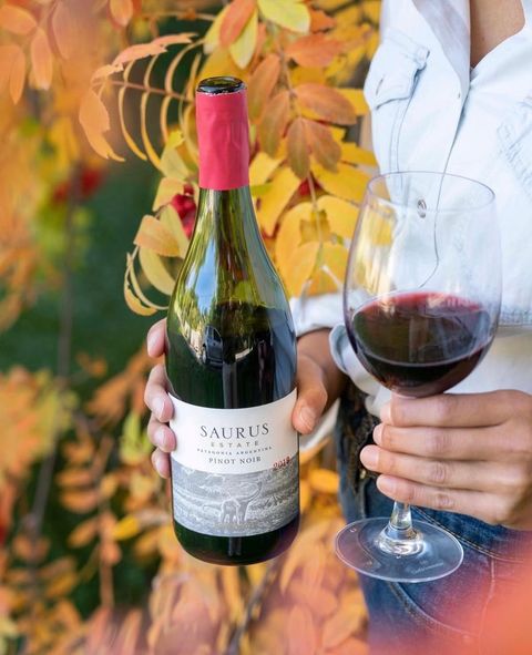 Saurus Estate Pinot Noir