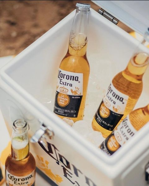  Corona lager 330ml x 6