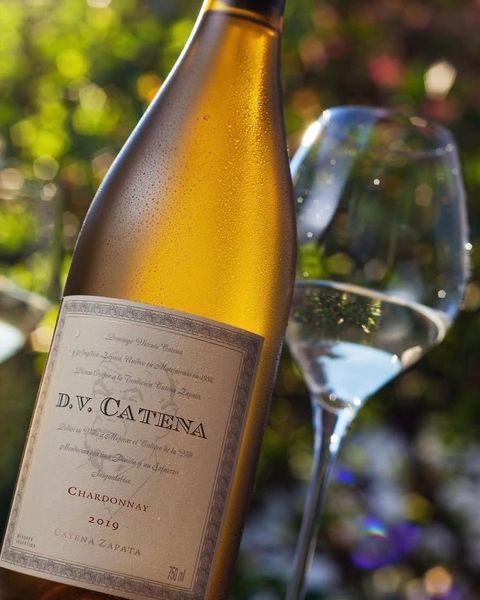 DV Catena Chardonnay-Chardonnay
