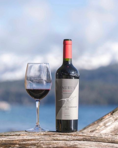 Saurus Select cabernet cabernet - 