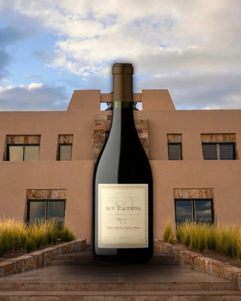DV Catena Pinot Noir